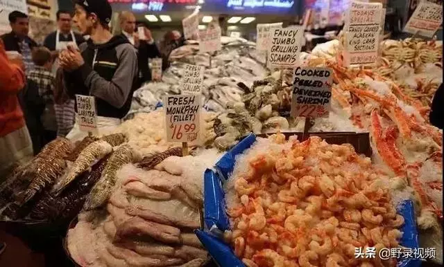 窮人吃龍蝦度日?在非洲鮑魚竟不如一把青菜值錢!