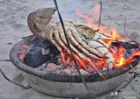 窮人吃龍蝦度日?在非洲鮑魚竟不如一把青菜值錢!