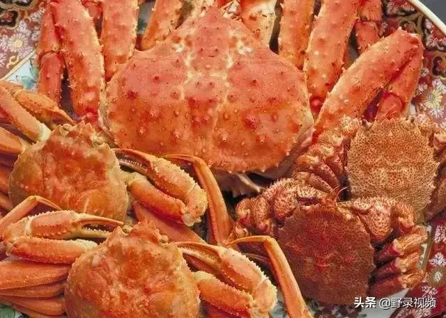 窮人吃龍蝦度日?在非洲鮑魚竟不如一把青菜值錢!
