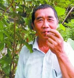 患上腎結石,不需開刀,用金錢草煲水 ,就能排腎結石 !