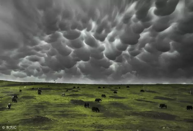 追雲十年,細數我見過的那些驚世駭俗的「妖雲」