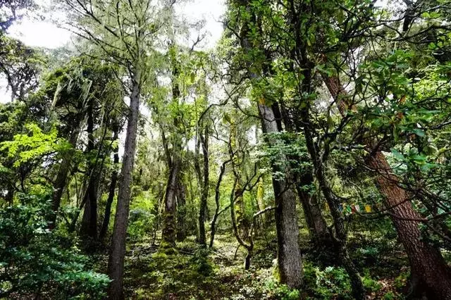 別去土耳其了,國內「棉花堡」出爐,相似度80%!卻鮮為人知!