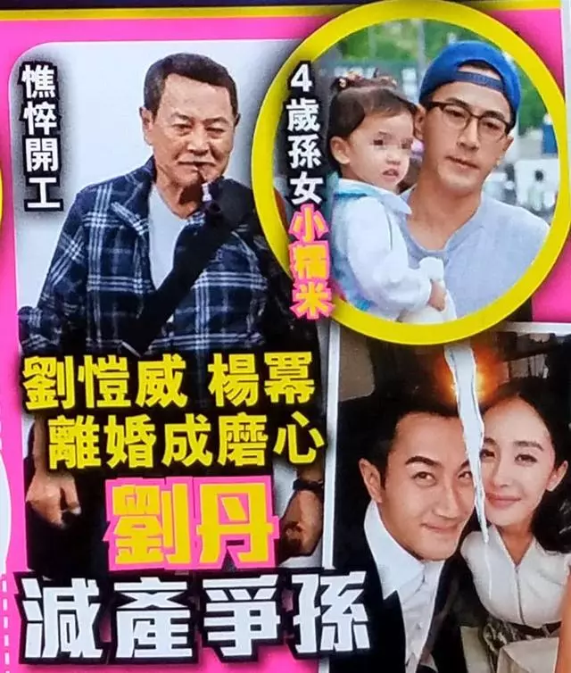 楊冪一周內二次抵港太不尋常,港媒曝她欲爭女兒撫養權!