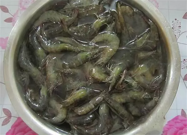 蝦買多了怎辦?教你一招,靠這樣保存放再久也不怕蝦頭變黑,別再傻傻直接放冰箱了!