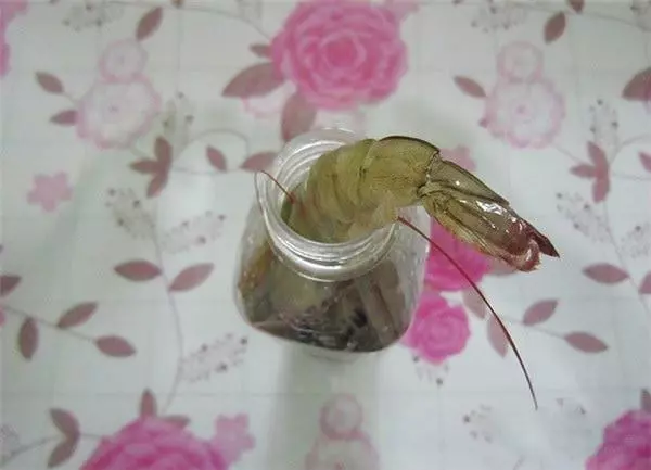 蝦買多了怎辦?教你一招,靠這樣保存放再久也不怕蝦頭變黑,別再傻傻直接放冰箱了!