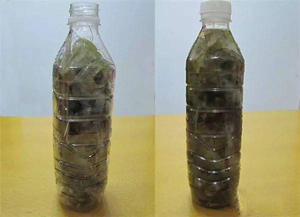 蝦買多了怎辦?教你一招,靠這樣保存放再久也不怕蝦頭變黑,別再傻傻直接放冰箱了!