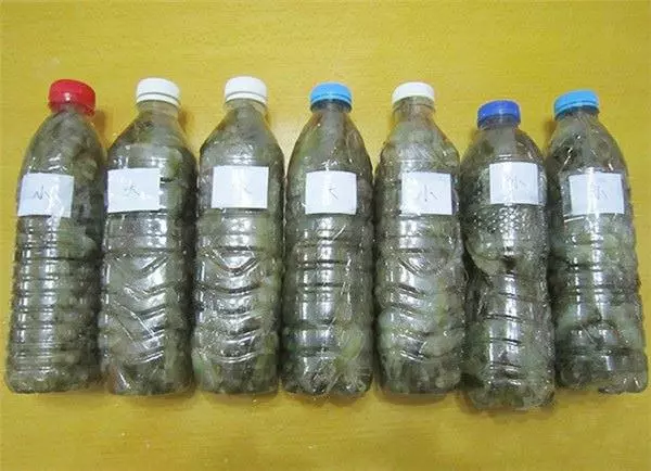 蝦買多了怎辦?教你一招,靠這樣保存放再久也不怕蝦頭變黑,別再傻傻直接放冰箱了!