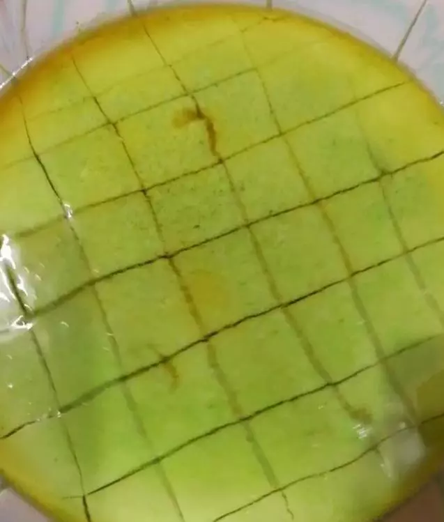 1把菠菜,3個雞蛋,攪一攪,蒸一蒸,口感鮮嫩,營養豐富,老人孩子都愛吃!