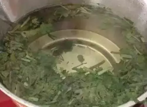 這個菜只要用清水煮一煮,可排出腎臟十年毒!