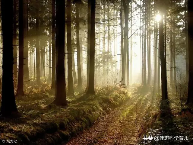 無論父母的學歷如何,教育孩子,一定要對孩子說的10句話
