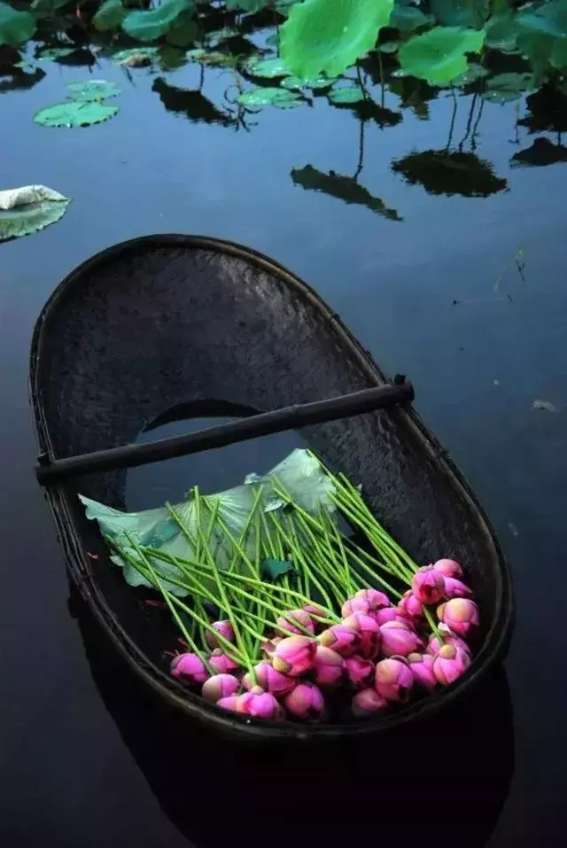 眼寬容景,心寬容事 每日正能量
