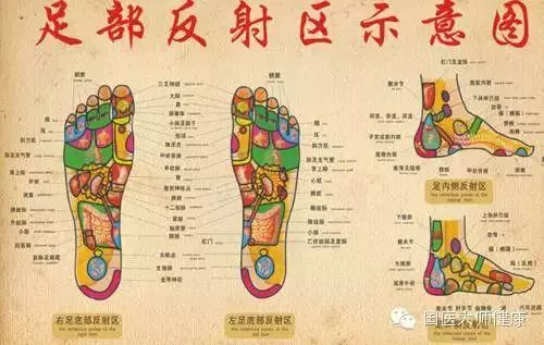 低頭摸腳,讓你一身輕鬆!很多病在腳上都有開關!