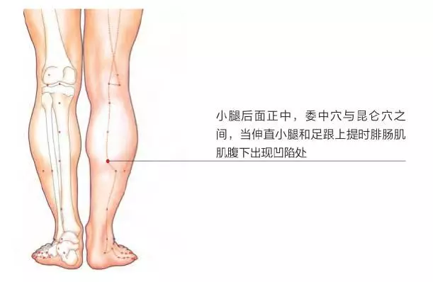 經絡祛百病:3穴位治療下肢痿痺、足跟痛