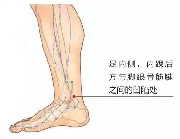 經絡祛百病:3穴位治療下肢痿痺、足跟痛