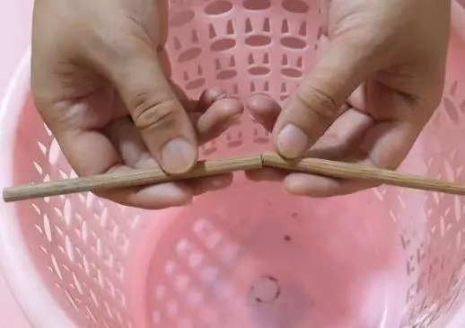 垃圾桶上一定要放一隻筷子,這個妙招太棒了,後悔今天才知道