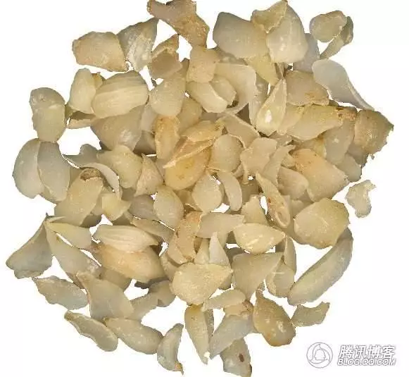 腎有多好就有多年輕!每天堅持吃一碗,連續喝三個多星期,不僅白頭髮不見了,竟然連皮膚都變白皙和光滑了!