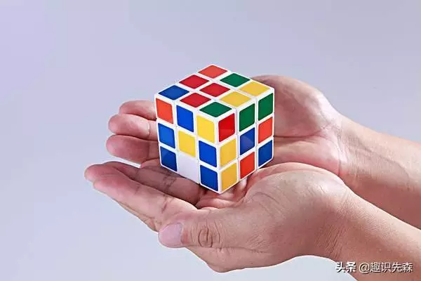 五個擊碎三觀的冷知識,蝸牛竟然不吃不喝三年都沒事,真是強悍啊