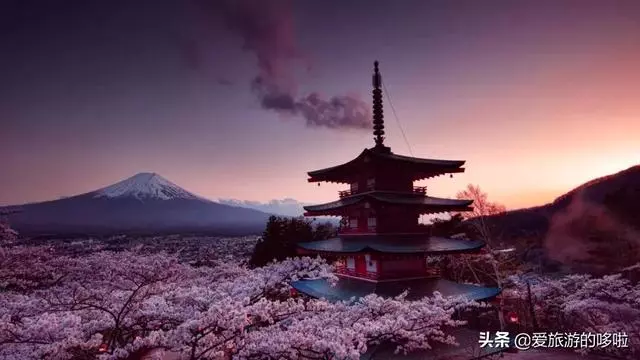 櫻花開了,可以吃了!各種粉嫩暴擊,瞬間燃爆你的少女心!