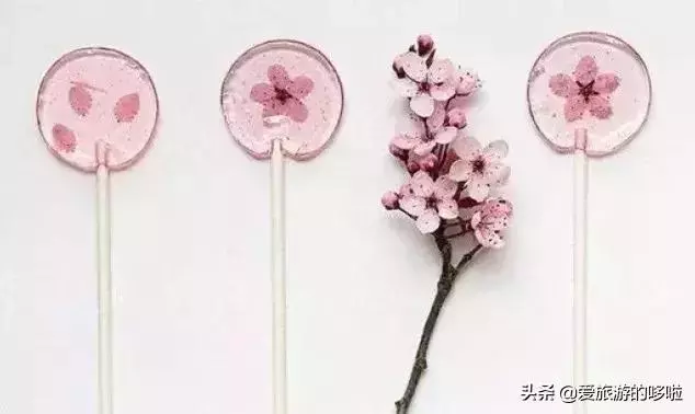 櫻花開了,可以吃了!各種粉嫩暴擊,瞬間燃爆你的少女心!