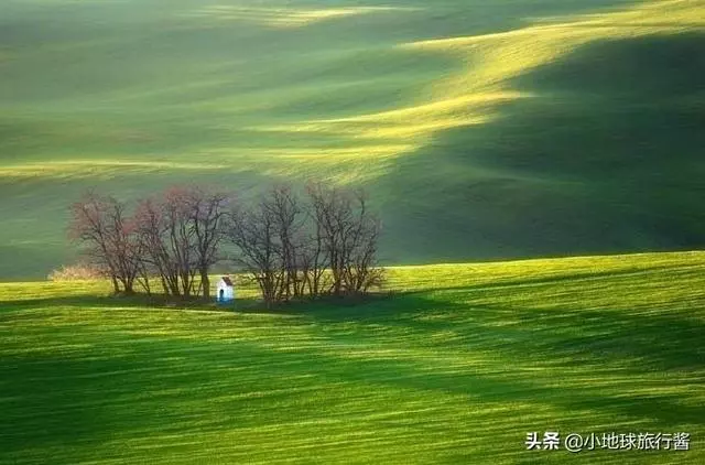 我們為什麼要旅行?這是我見過最美的答案!
