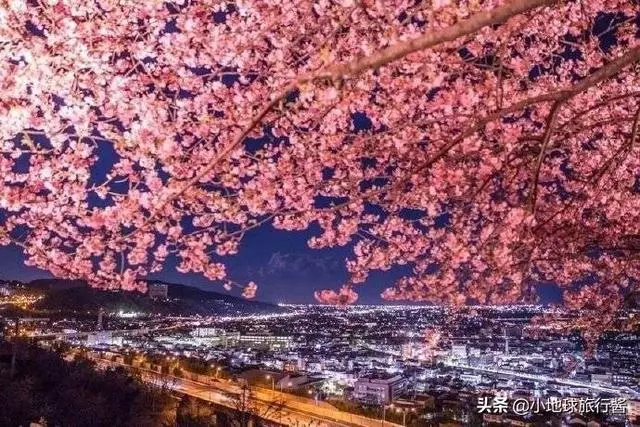 我們為什麼要旅行?這是我見過最美的答案!