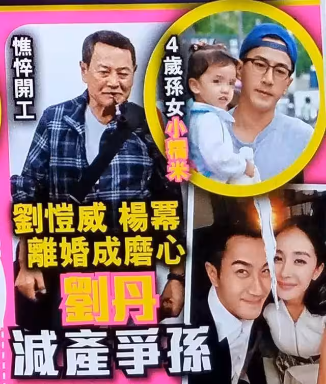楊冪一周內二次抵港太不尋常,港媒曝她欲爭女兒撫養權!