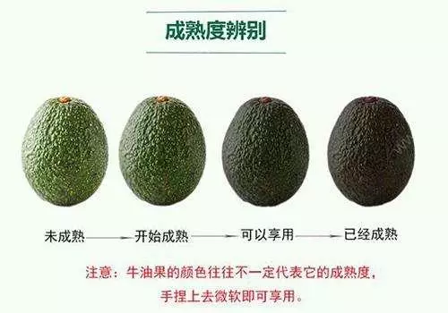 為什麼牛油果不好吃還巨貴?營養師教你2招,巨好吃!