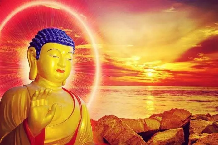 我們每天都生活在因果之中!一定要懂因果、畏因果、解因果!