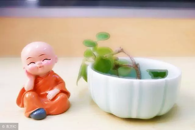 您真是太有福了,有緣遇到這些佛語,看完您就放下了