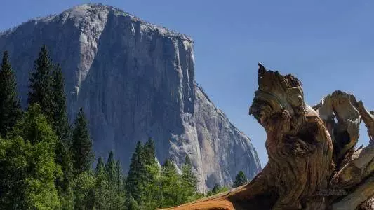 你家有生肖猴,龍,兔嗎?2019年請為他們祈福,將有貴人相助,必翻身!真的靈!