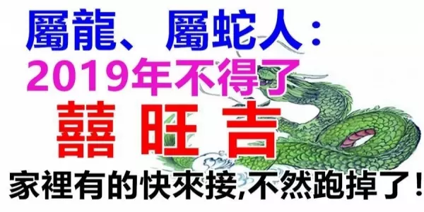 屬龍、屬蛇人:2019年是上上等運勢!家裡有這兩個生肖的快來接吧,不然就跑掉了!