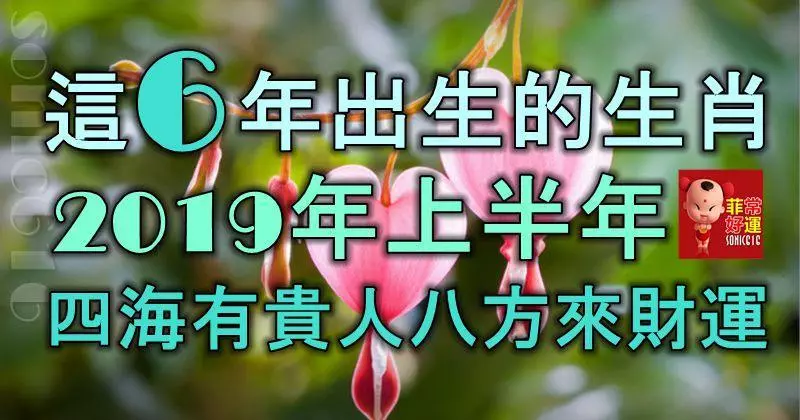 這6年出生的生肖,2019年上半年四海有貴人,八方來財運!