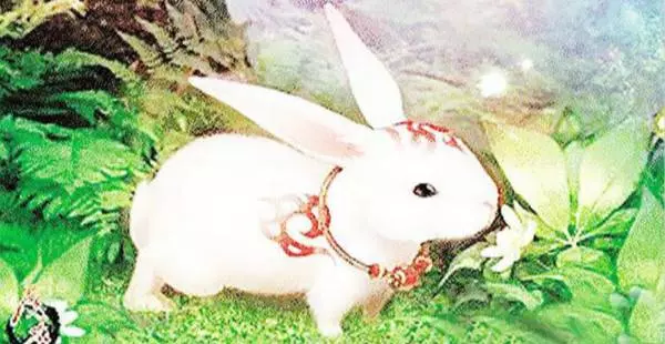 這6年出生的生肖,2019年上半年四海有貴人,八方來財運!