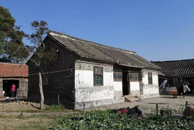 母親去投奔兒女,兒子閉門不見,女兒歡笑迎接,一個月後驚喜來了