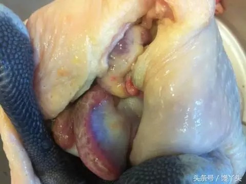 電鍋版清蒸蒜頭雞,做法簡單,湯汁淋到米飯上超入味,上桌就搶光!
