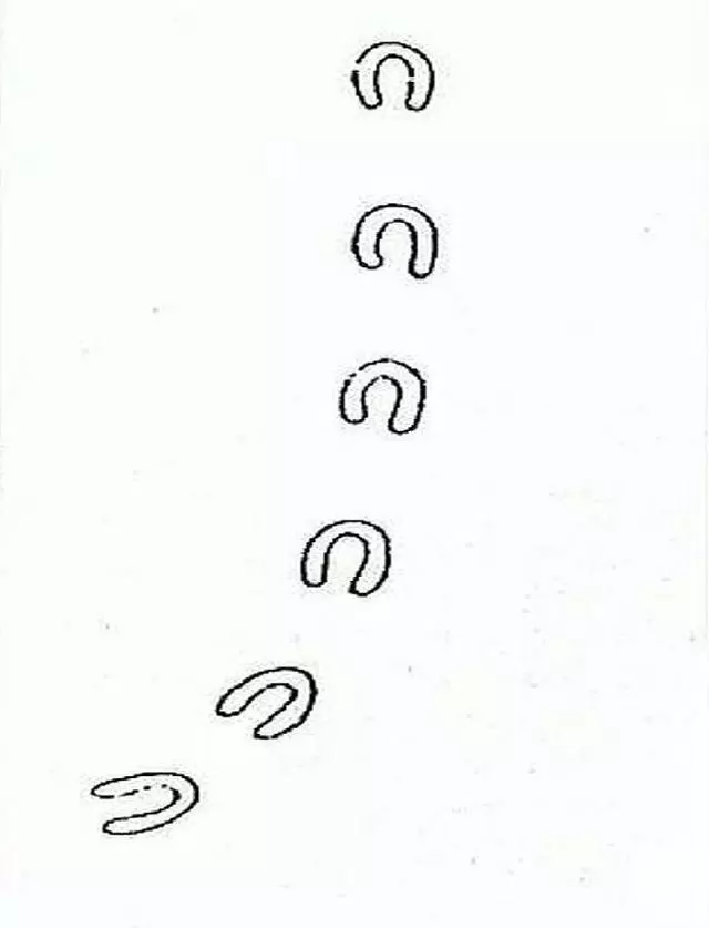 12個至今只發生過一次的詭異事件,現代科學家想破頭也解不出原因