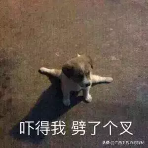 筋長一寸,壽延十年?重慶103歲奶奶皮膚白皙,筋骨軟如嬰兒!