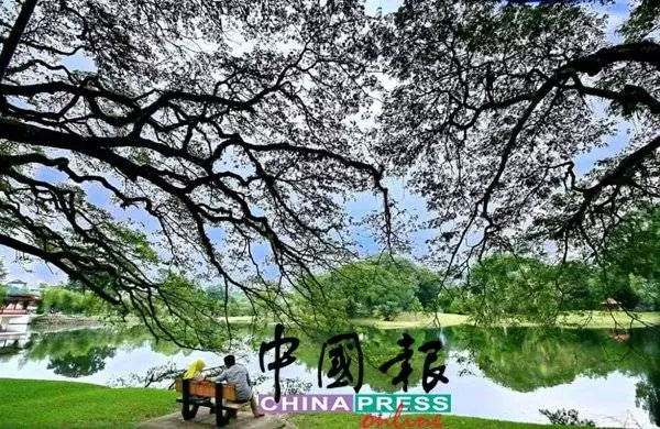 大馬之光! 太平列「全球最宜居城市」前三名