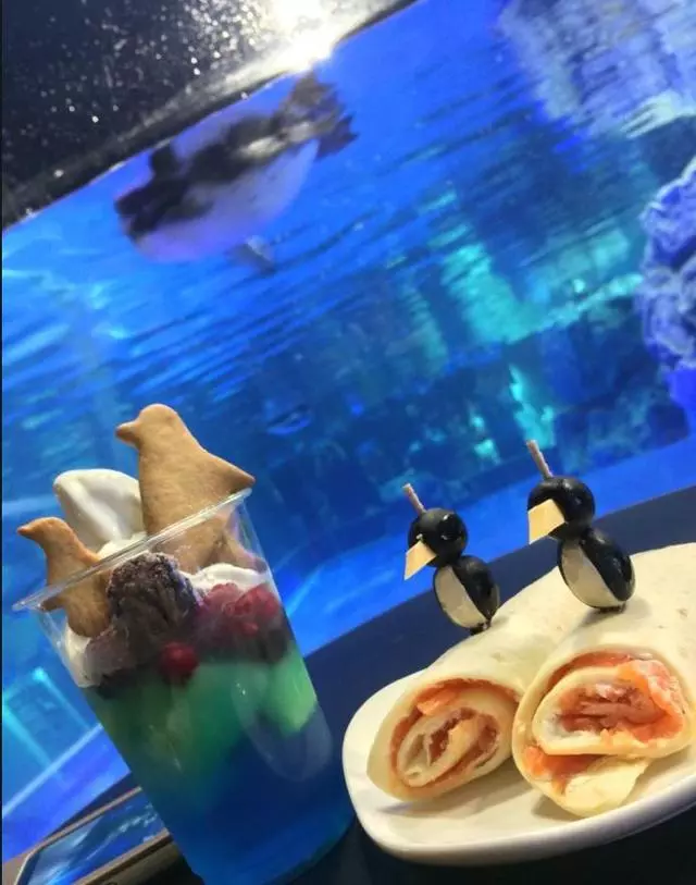 日本奇怪的動物咖啡廳,這是喝咖啡還是逛動物園啊……