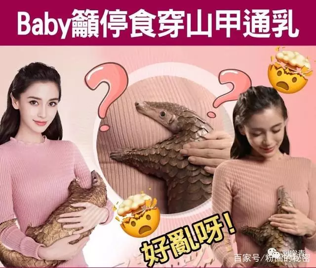 Baby、黃曉明再傳婚變,幾張圖分析他們到底怎麼回事……