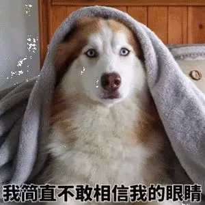 租女友回家過年卻懷孕了!