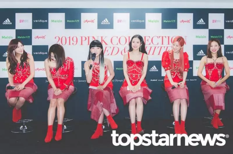 [Apink][分享]190307 「9年次女子組合的實力」...Apink，她們走過的足跡