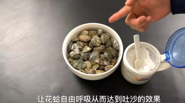 洗花蛤沙子越洗越多!用這2個小方法,花蛤吐沙又快又徹底!
