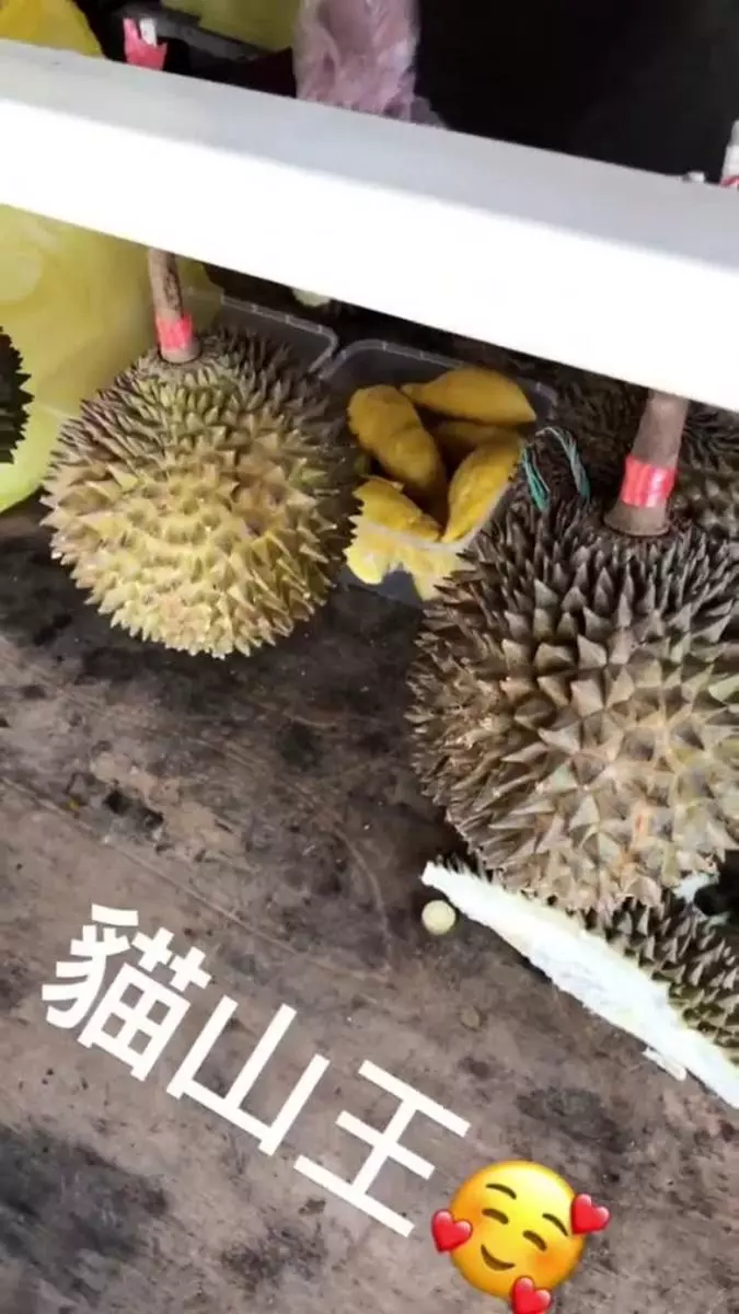 【黃宗澤偷偷在Malaysia拍拖?!】網絡暴露倆人行蹤,沒想到對方竟是27歲有長腿美女之稱的她!