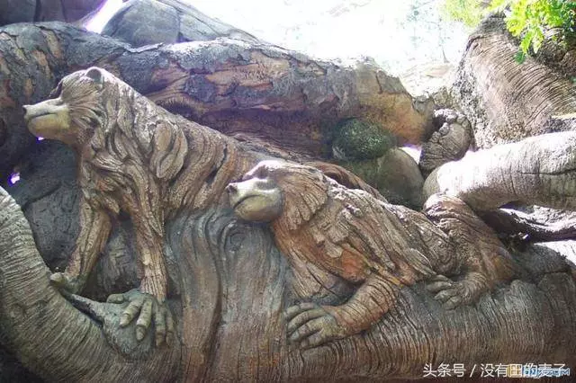 農夫上山砍柴,看到前麵一個巨大的身影,仔細一看後趕緊下山叫人