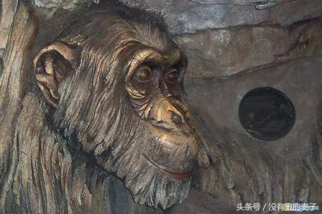 農夫上山砍柴,看到前麵一個巨大的身影,仔細一看後趕緊下山叫人