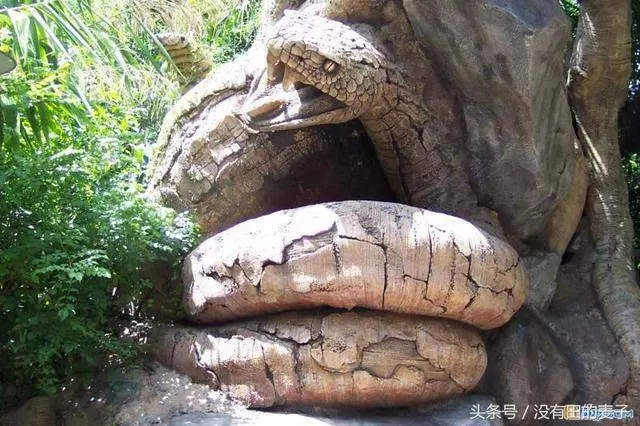 農夫上山砍柴,看到前麵一個巨大的身影,仔細一看後趕緊下山叫人