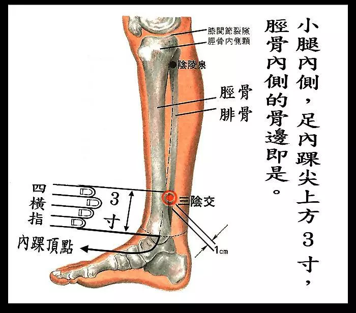 有一個穴位,讓女性終身不老!!!