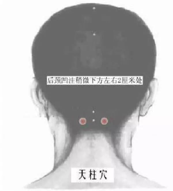 高血壓的急救穴,為了身邊的家人和朋友,所有都應該看一下這篇