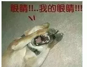 拿電視機當顯示器為什麼不靠譜?還可能瞎眼!
